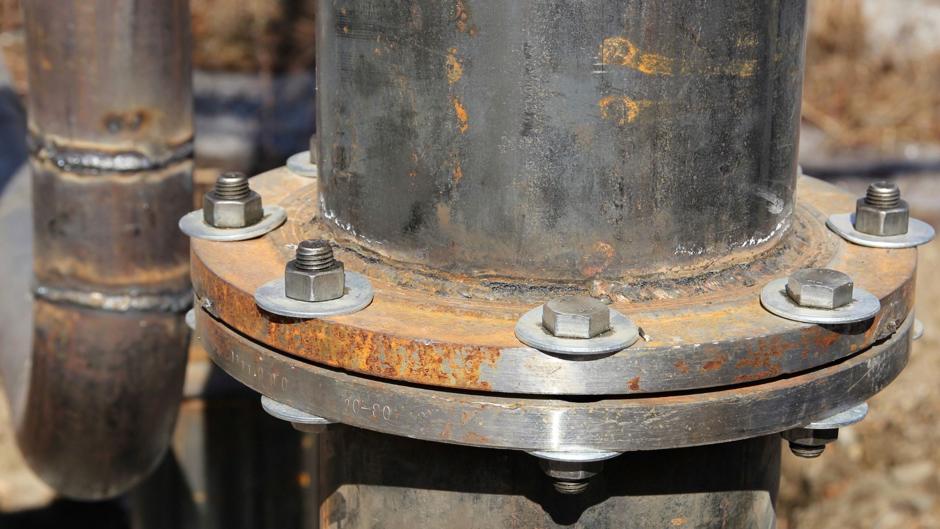 stainless vs carbon steel flanges